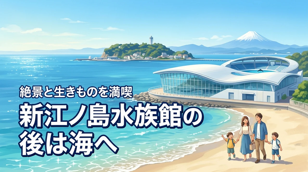 新江ノ島水族館の後は海へ！相模湾の生きものと絶景を楽しむ最高の一日の作り方