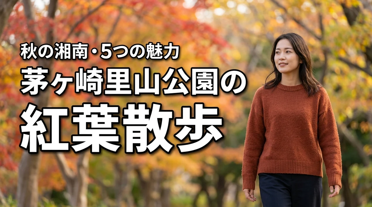 茅ヶ崎里山公園の紅葉散歩｜湘南で楽しむ静かな秋の日帰り旅を彩る5つのメリット