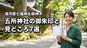 五所神社の御朱印はなぜ人気？湯河原七福神と御神木の見どころ7選！源頼朝ゆかりの地（記事のアイキャッチ画像）